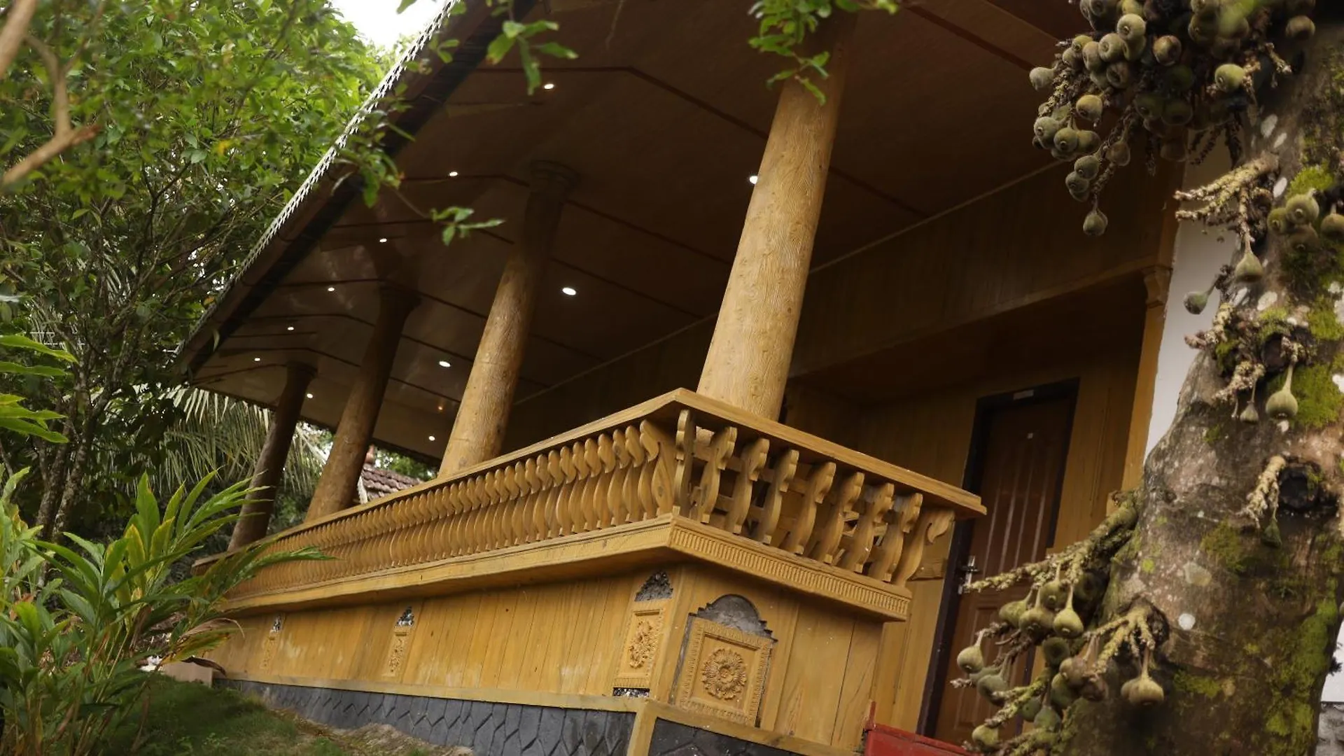 Ashramam Health Resort Kattappana