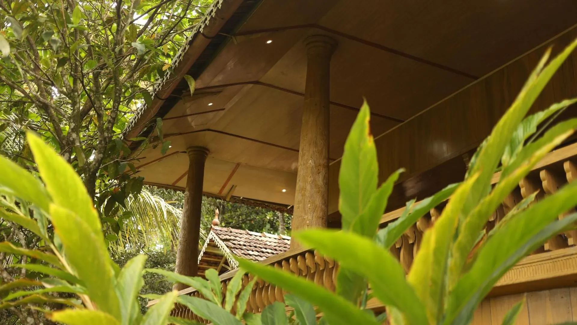 Ashramam Health Resort Kattappana