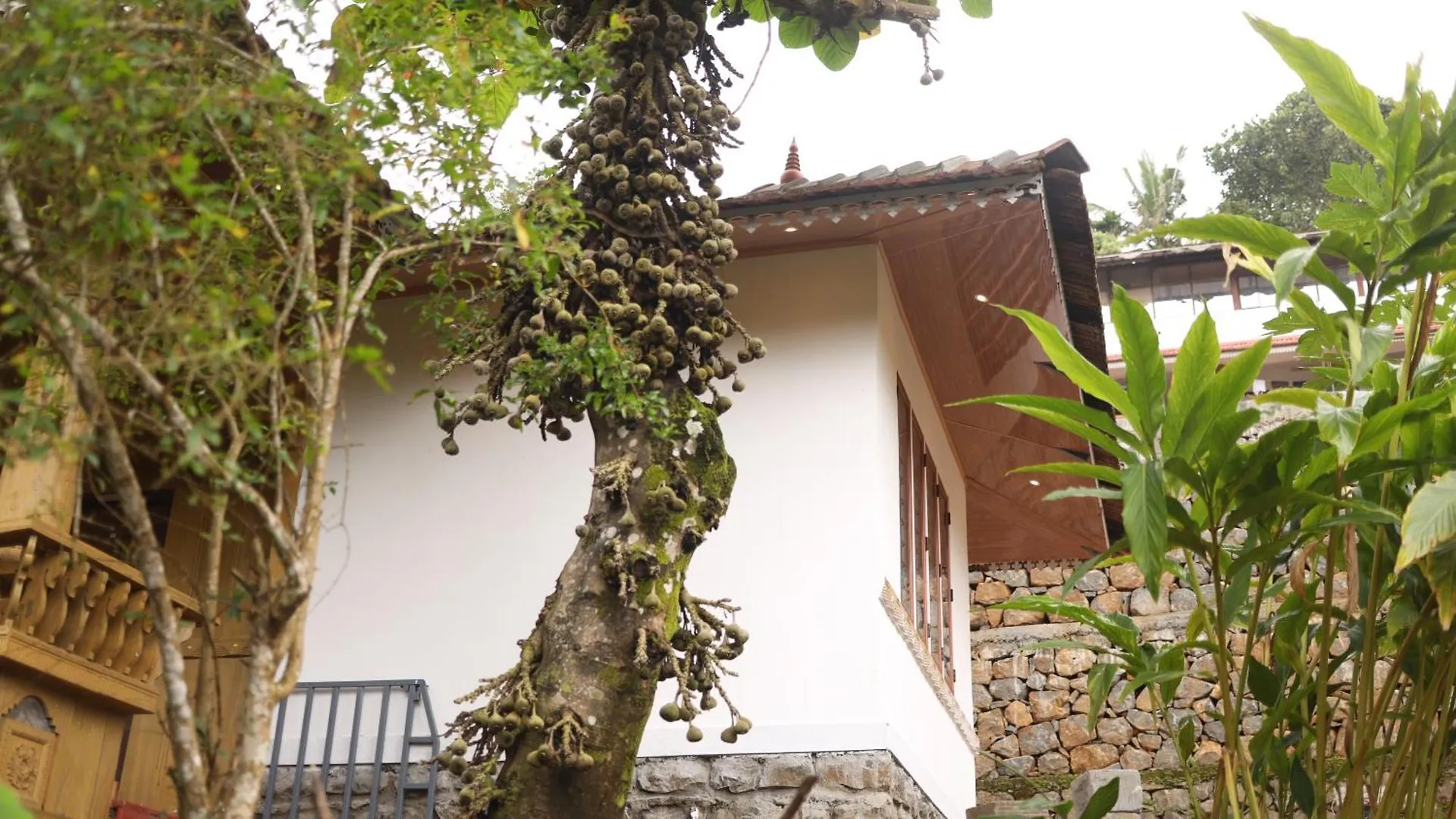 Ashramam Health Resort Kattappana