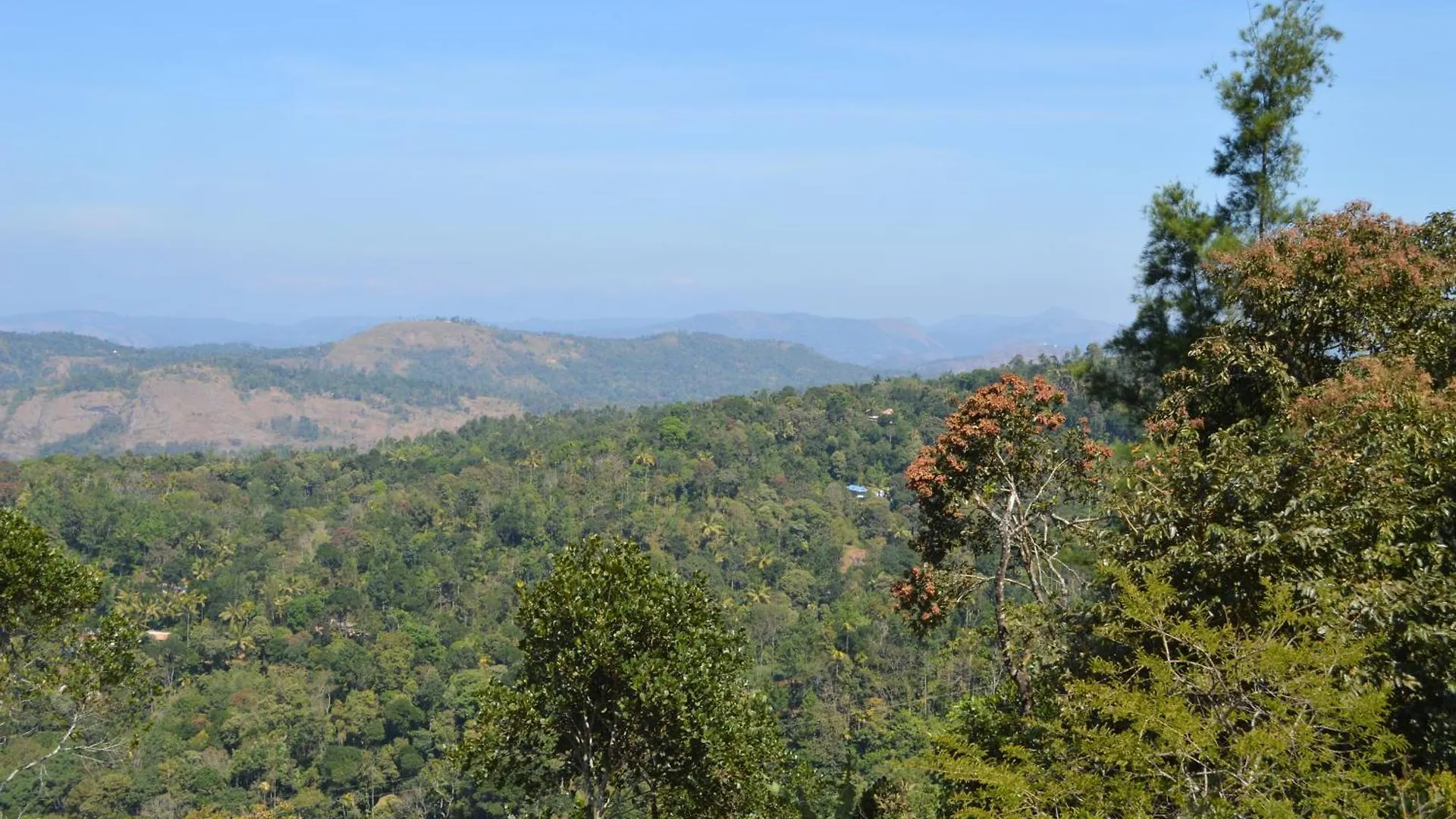 Ashramam Health Resort Kattappana